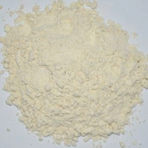 Vitlökspulver hälsosamt